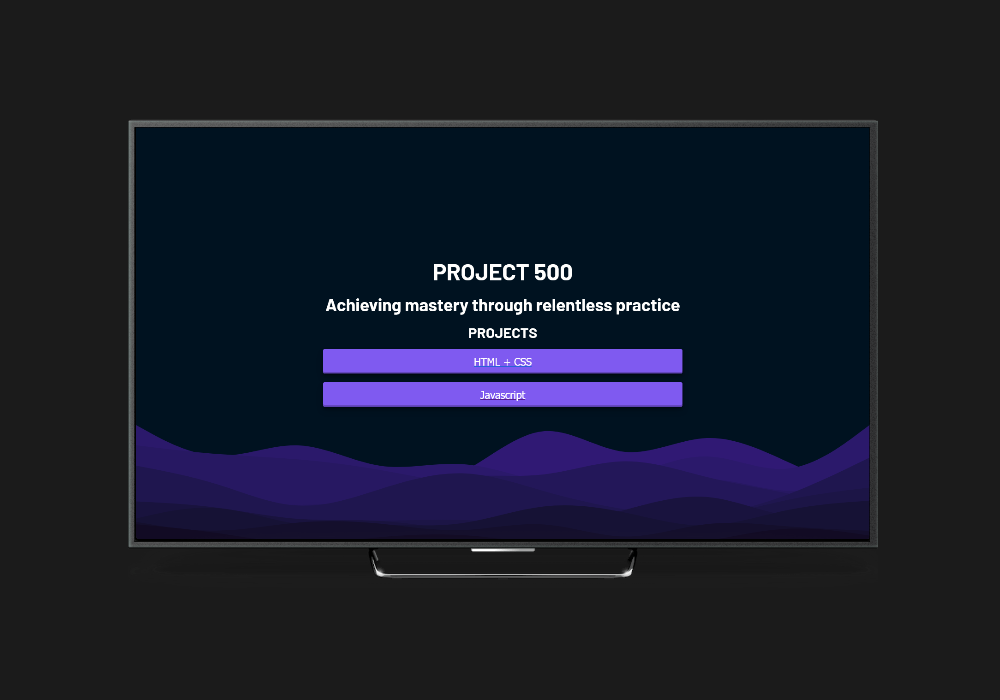picture of project 500